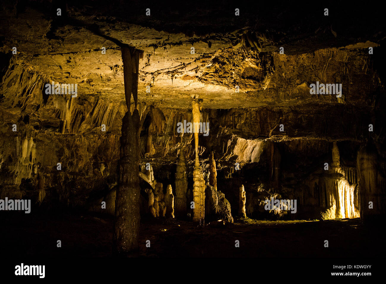 Vue de l'intérieur de la grotte de Postojna, deuxième plus grand réseau de grottes dans le monde, en Slovénie Banque D'Images