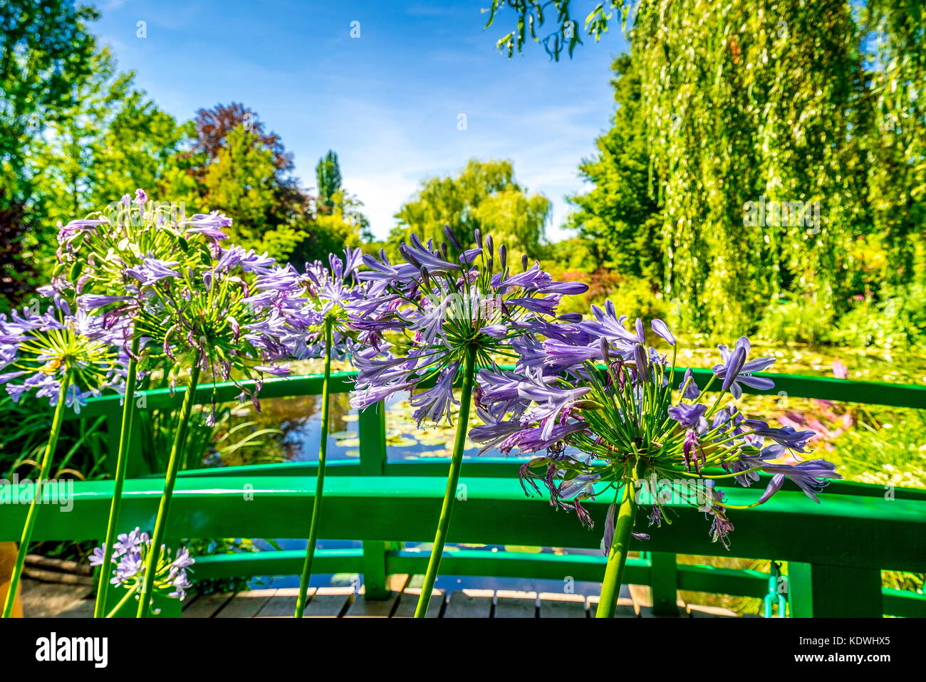 Célèbre pont dans les jardins de Claude Monet Banque D'Images