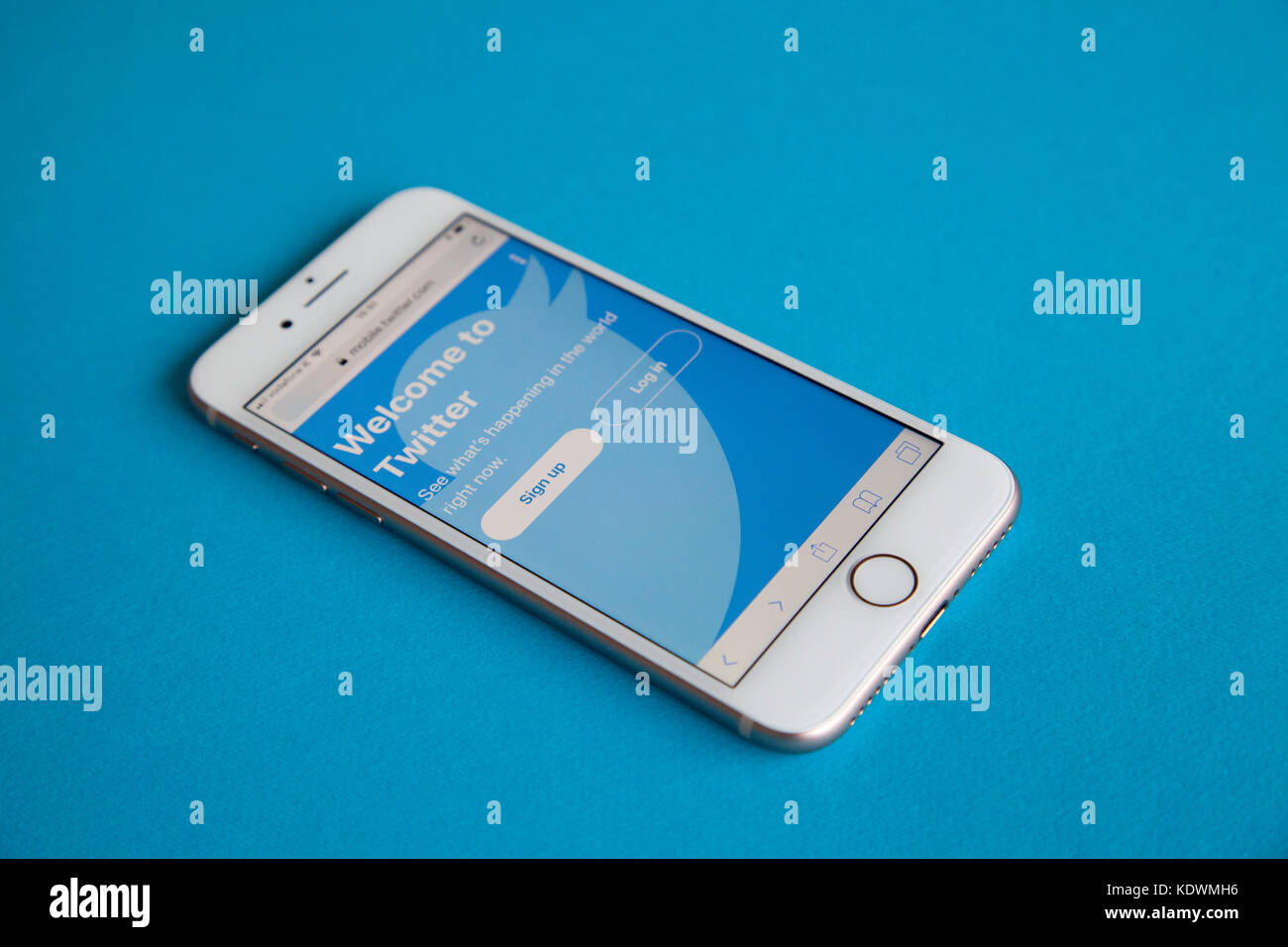 Apple iphone 8 modèle avec écran de connexion twitter contre un  arrière-plan couleur bleu Photo Stock - Alamy