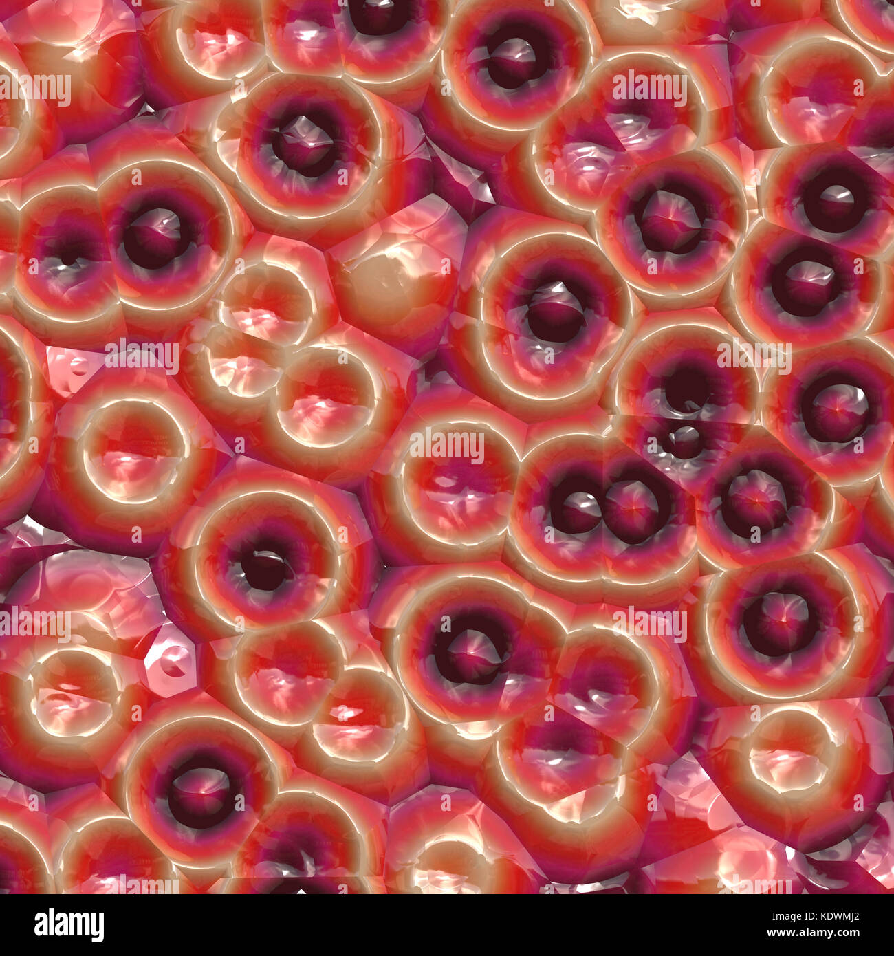 Les cellules de plantes bio vue sous un fort grossissement Banque D'Images