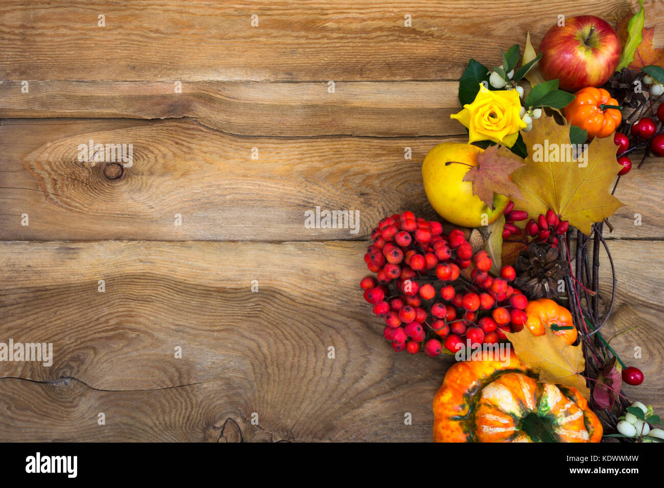 Arrière-plan de l'action de grâce avec des citrouilles, Rowan berries et des roses jaunes guirlande, copy space Banque D'Images