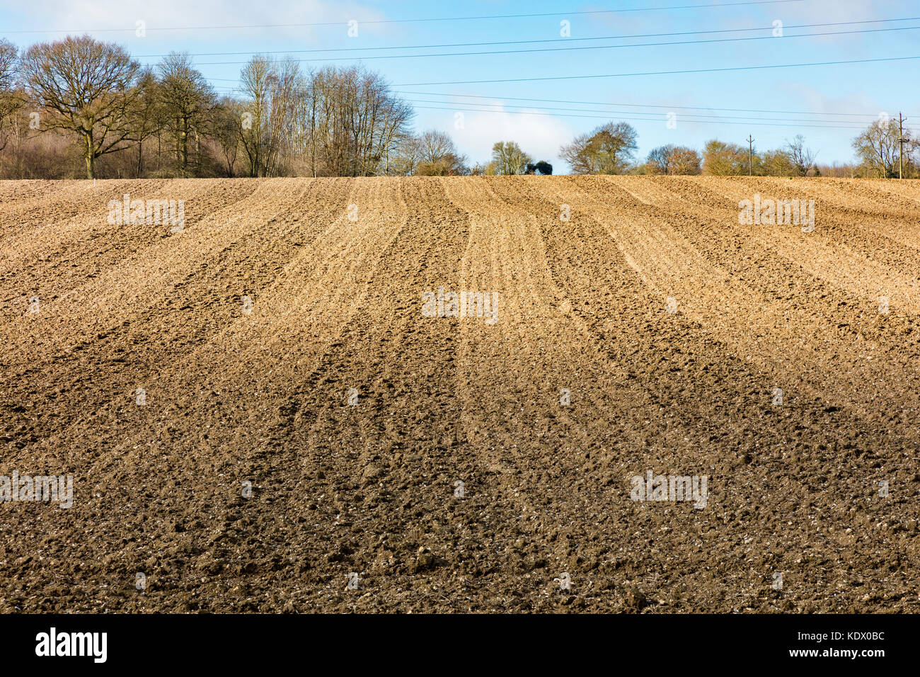 Champ labouré au printemps près de Pett bas, Canterbury, Kent, UK. Le rural vue est gâchée par les fils électriques et téléphoniques traversant un ciel bleu Banque D'Images