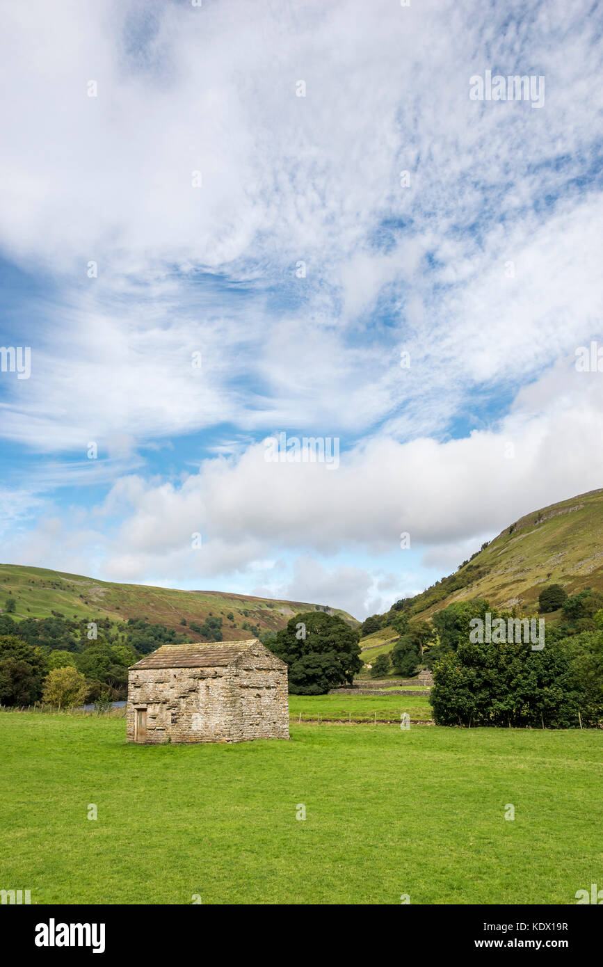 Grange en pierre traditionnelle ou 'cow house' près de muker dans swaledale, Yorkshire Dales national park, England. Banque D'Images