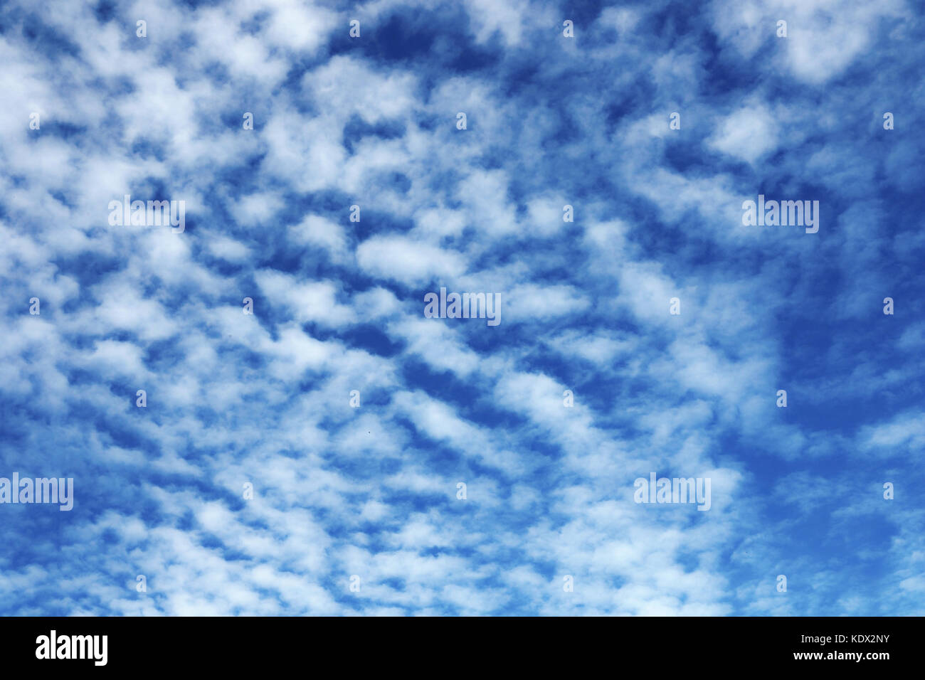 Fond de ciel magnifique avec de petits nuages pour votre conception Banque D'Images