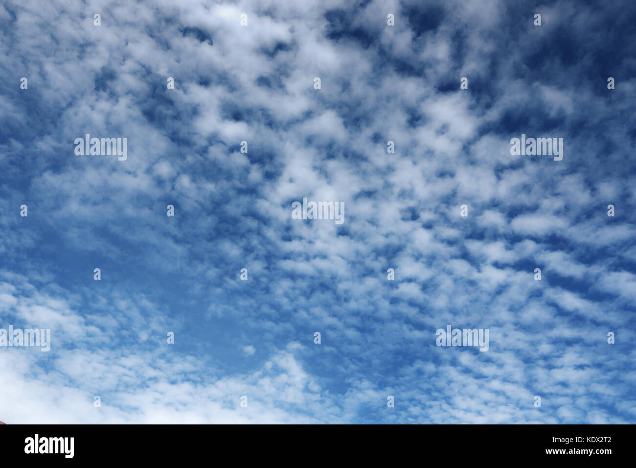 Fond de Ciel bleu nuageux prêt pour votre conception Banque D'Images