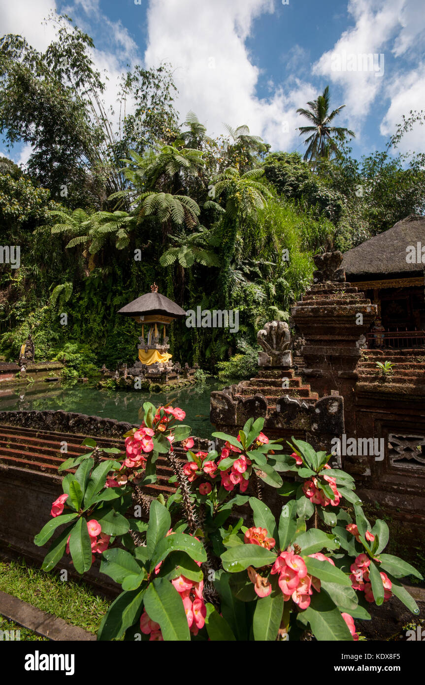 Temple de l'île, à la sainte springs à pura gunung kawi sebatu, temple tegalalang près de Ubud, Bali, Indonésie Banque D'Images