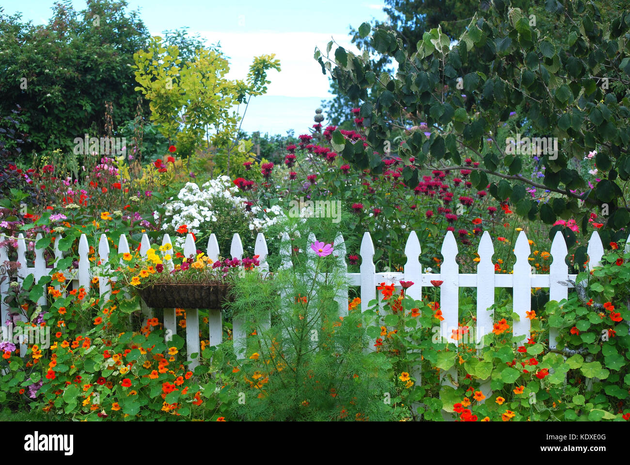 Garden Cottage Banque D'Images
