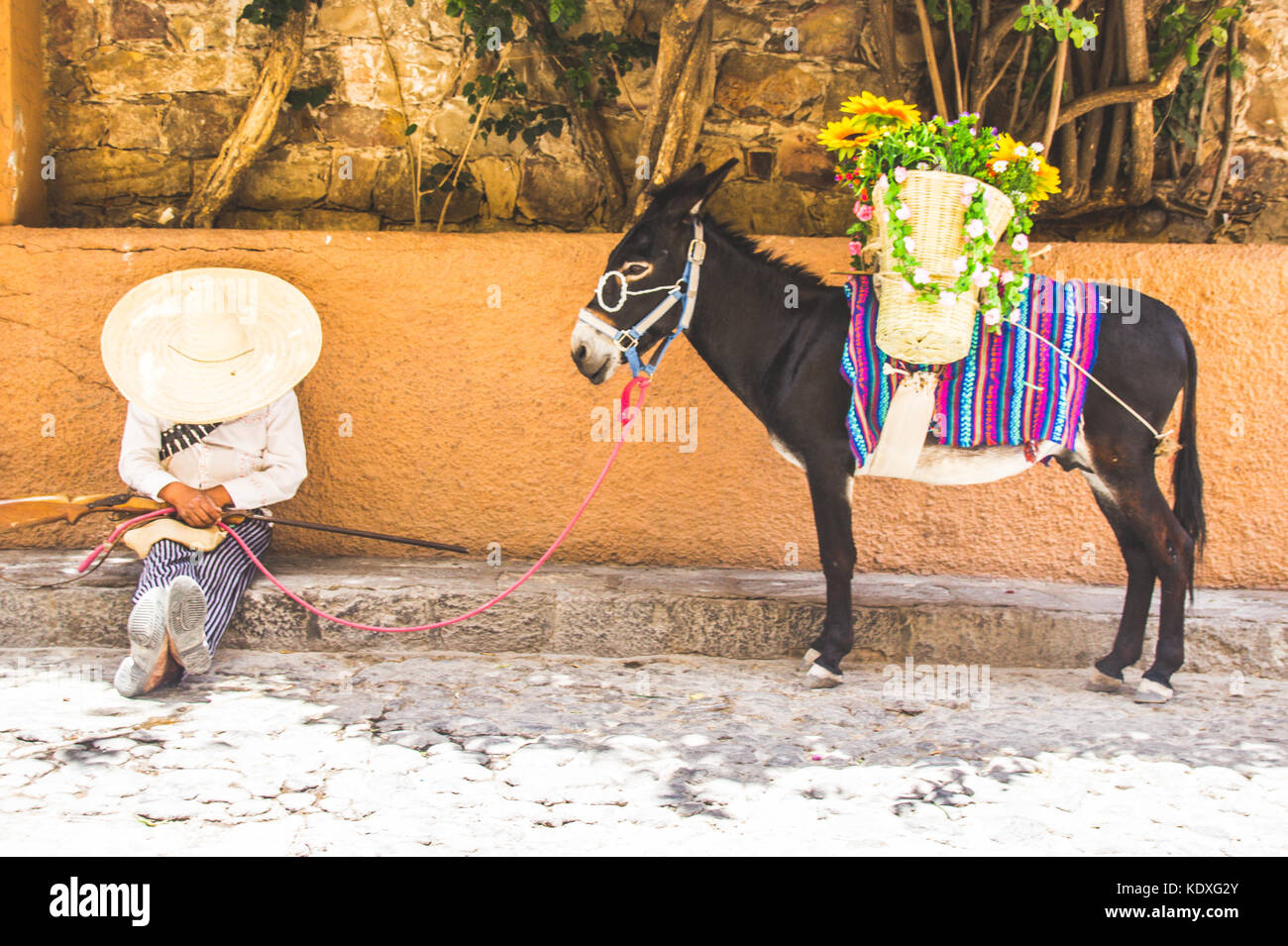 San Miguel de Allende, Guanajuato - Mexique - 0627 2017 : l'homme avec le costume traditionnel mexicain révolutionnaire et de l'âne Banque D'Images