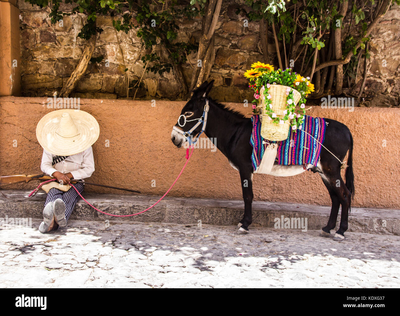 San Miguel de Allende, Guanajuato - Mexique - 0627 2017 : l'homme avec le costume traditionnel mexicain révolutionnaire et de l'âne Banque D'Images