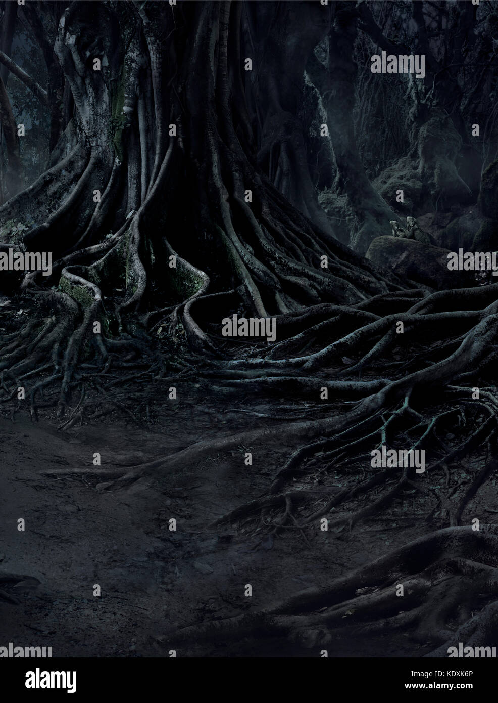 Creepy arbres avec racines tordues et deux courtes sur misty nuit forêt. scary concept. Banque D'Images