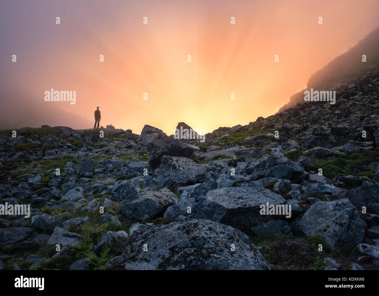 Homme debout devant de la lumière solaire à soirée d'été dans l'île de Lofoten montagne Banque D'Images