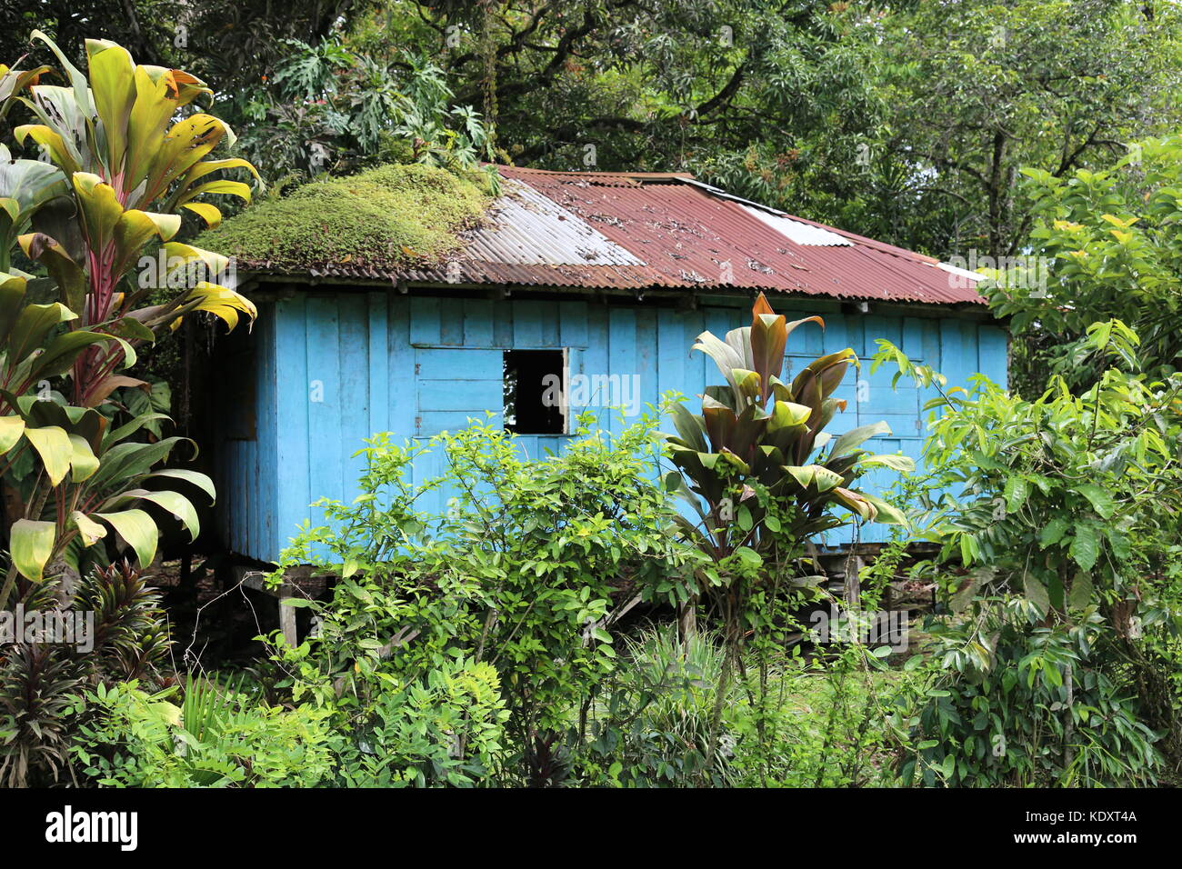 Maison à l'abandon, Playa Negra, Puerto Viejo de Talamanca, province de Limón, mer des Caraïbes, le Costa Rica, Amérique Centrale Banque D'Images