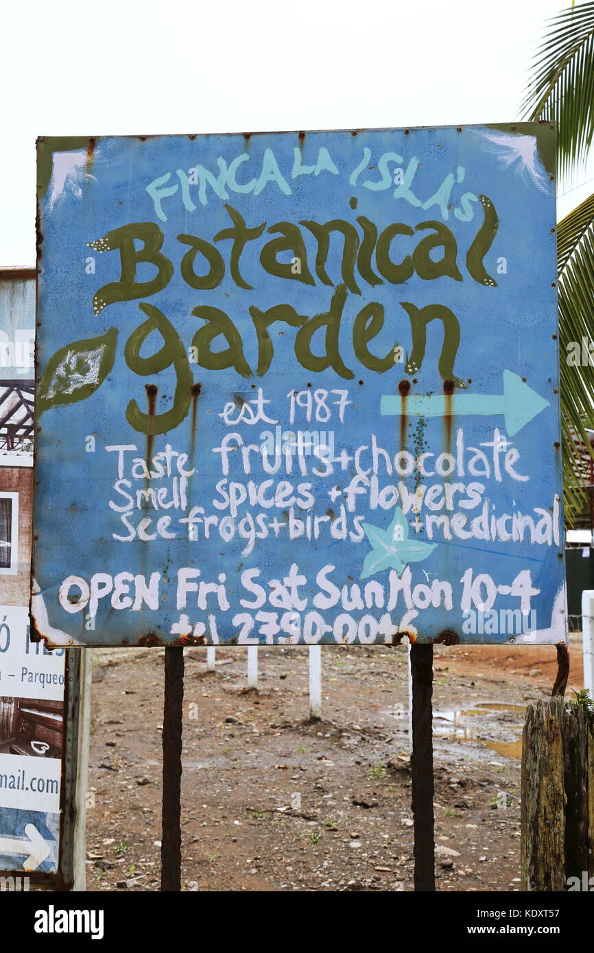 Finca La Isla's Botanical Garden, Playa Negra, Puerto Viejo de Talamanca, province de Limón, mer des Caraïbes, le Costa Rica, Amérique Centrale Banque D'Images