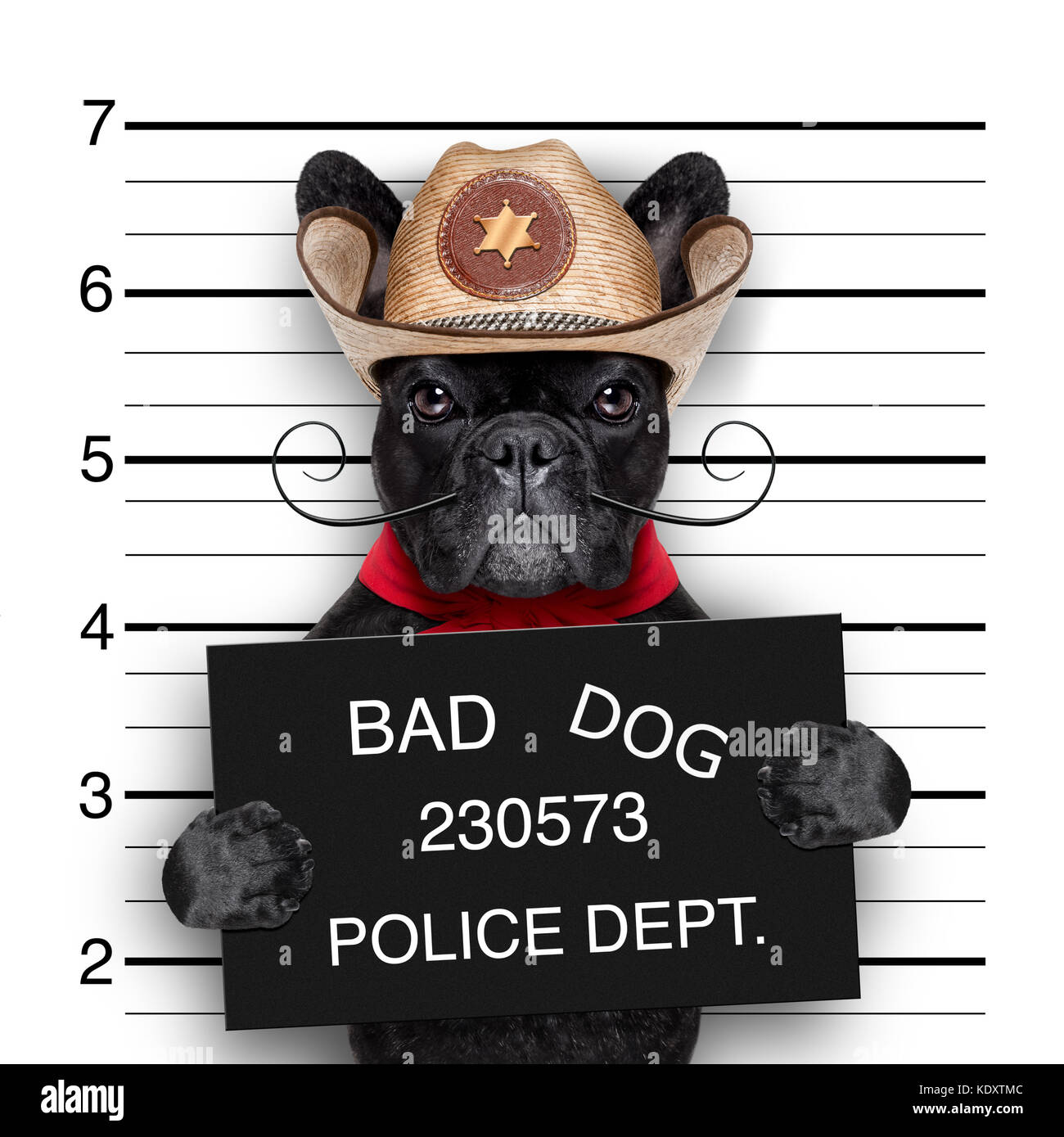 Mauvais chien mexicain dans une police électroniques Banque D'Images