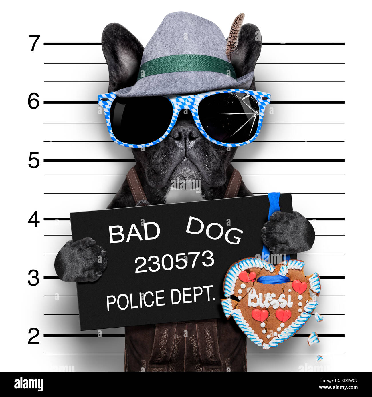 Bavarois électroniques de chien avec une bannière de la police Banque D'Images