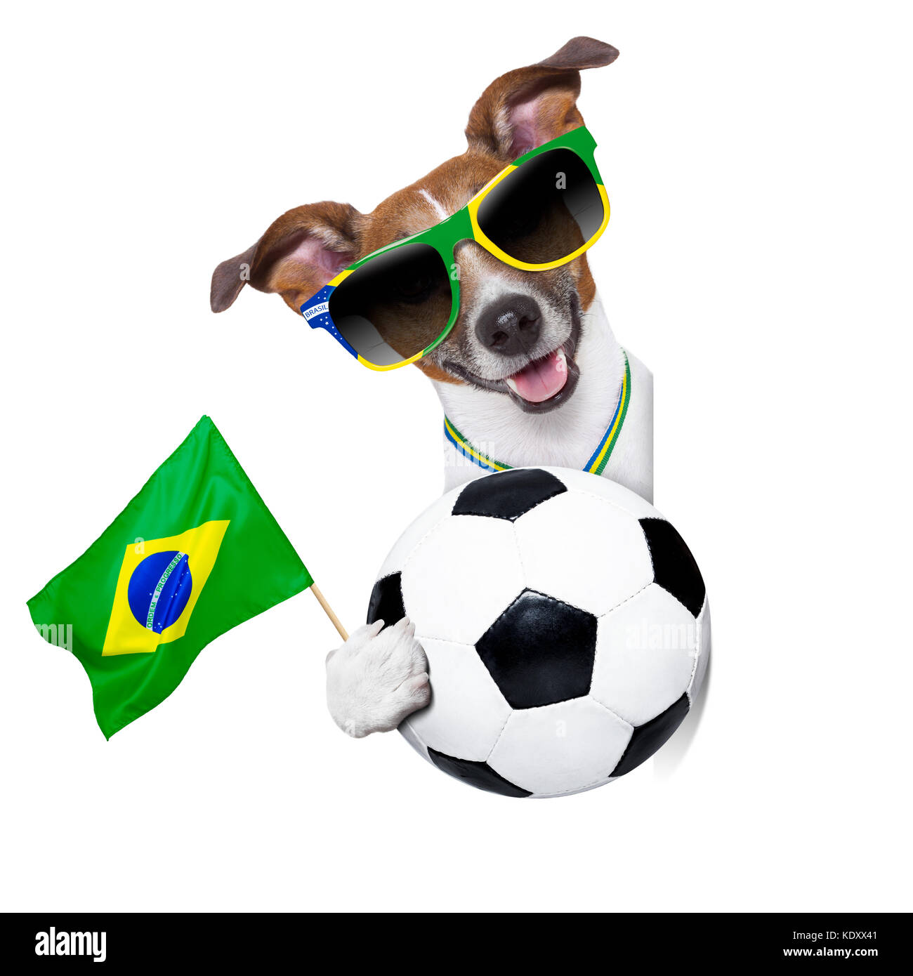 Brésil soccer dog avec rotule et la médaille Banque D'Images