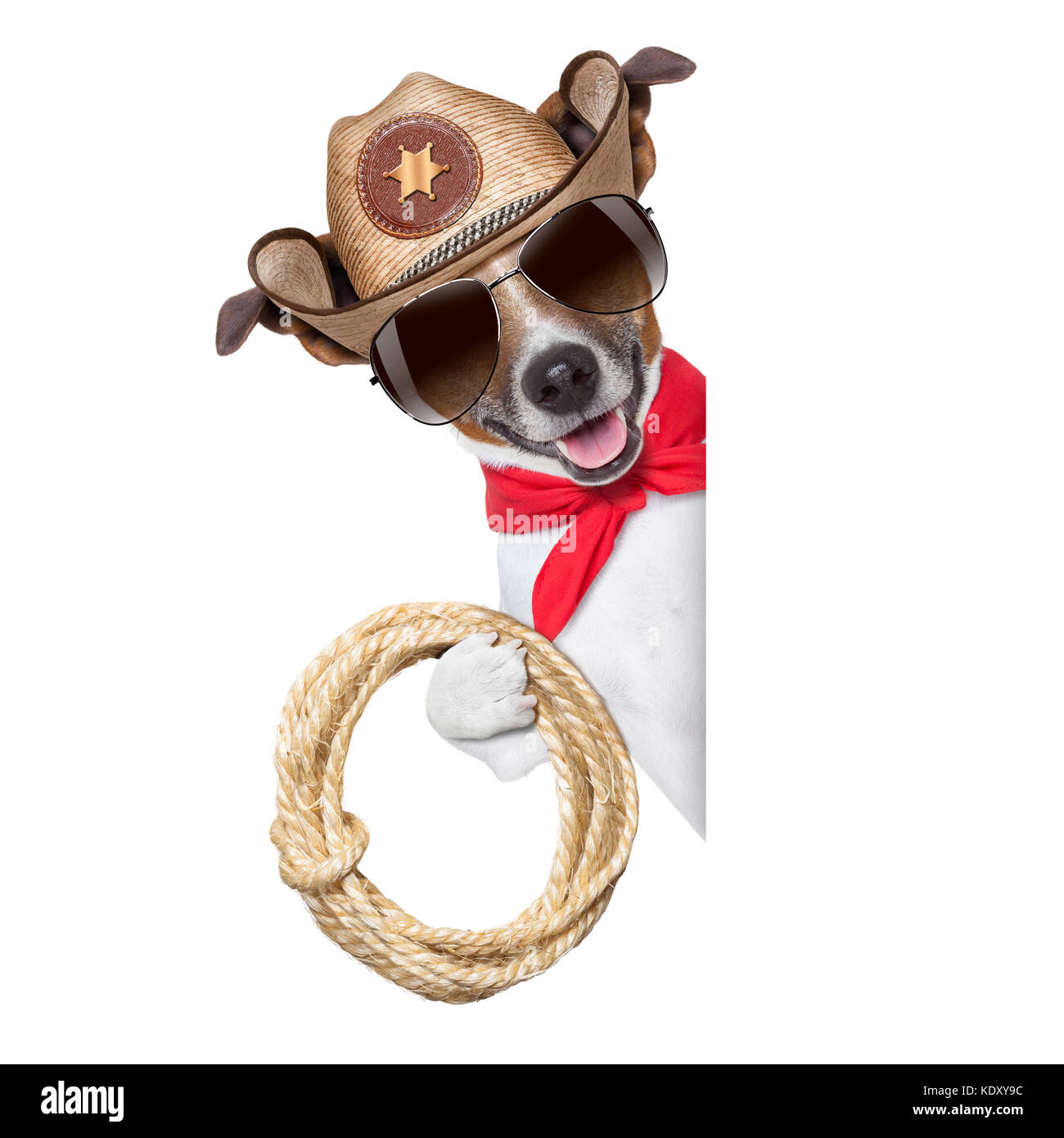 Cowboy cool chien derrière la bannière ou la plaque vierge blanc Banque D'Images