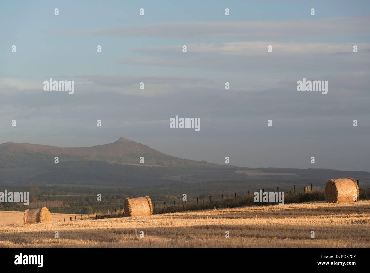 Une vue de Bennachie depuis le sud avec des bottes de paille d'orge dans l'avant-plan Banque D'Images