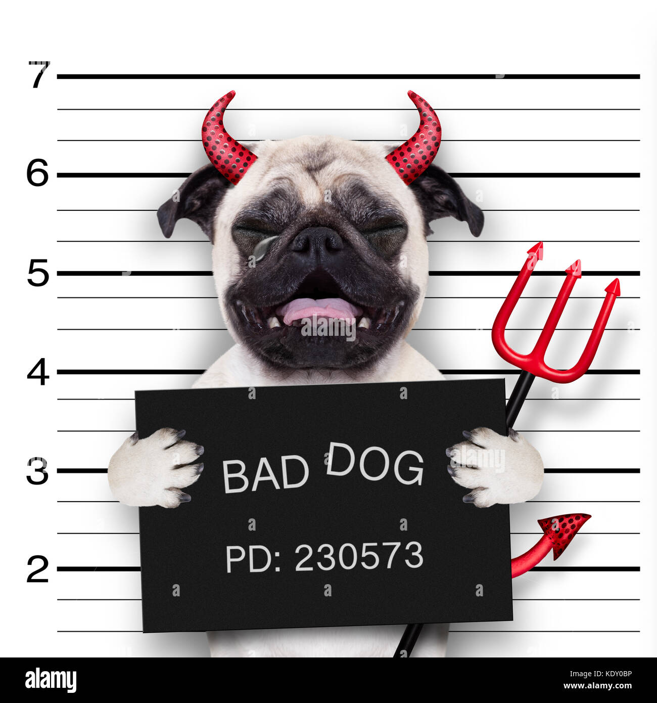 Diable halloween chien pug qui crie dans un pêché, électroniques de l'appareil photo avec le poste de police, en prison Banque D'Images