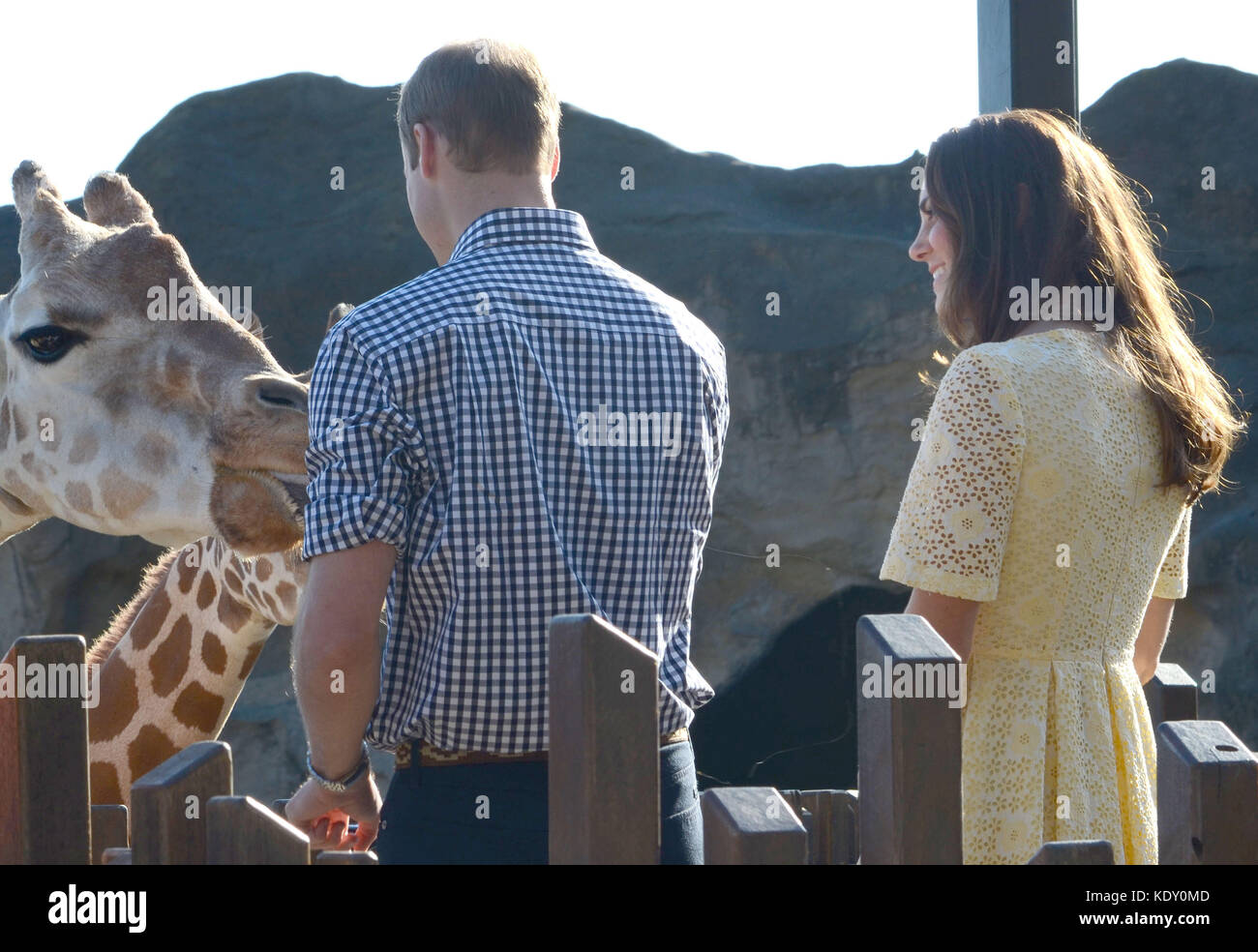 Sydney, AUSTRALIE - 20 AVRIL : Prince William, duc de Cambridge et Catherine, duchesse de Cambridge au zoo de Taronga le 20 avril 2014 à Sydney, Australie. Population: Prince William, duc de Cambridge et Catherine, duchesse de Cambridge Réf. Transmission: MNCUK1 crédit: Hoo-Me.com/MediaPunch ***NO UK*** Banque D'Images