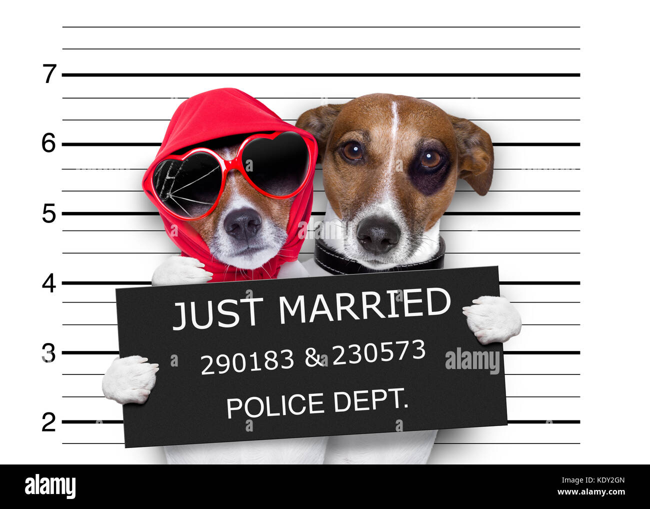 Couple de jeune mariés de chiens dans un comme électroniques des criminels prétendant ensemble pour toujours en prison Banque D'Images