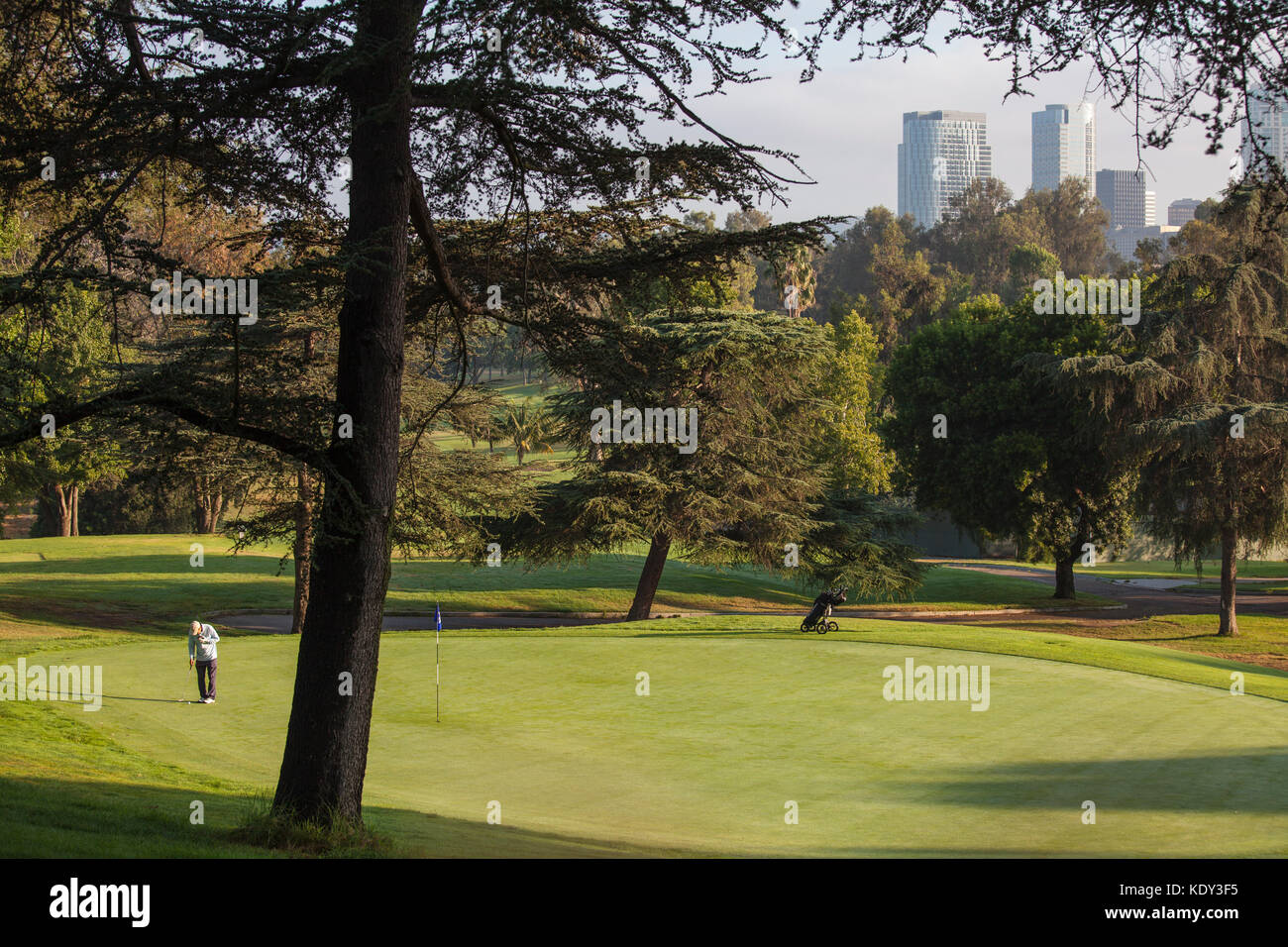 Rancho park golf course, golf et aménagement paysager sont un important utilisateur de l'eau. Los Angeles, Californie, USA Banque D'Images