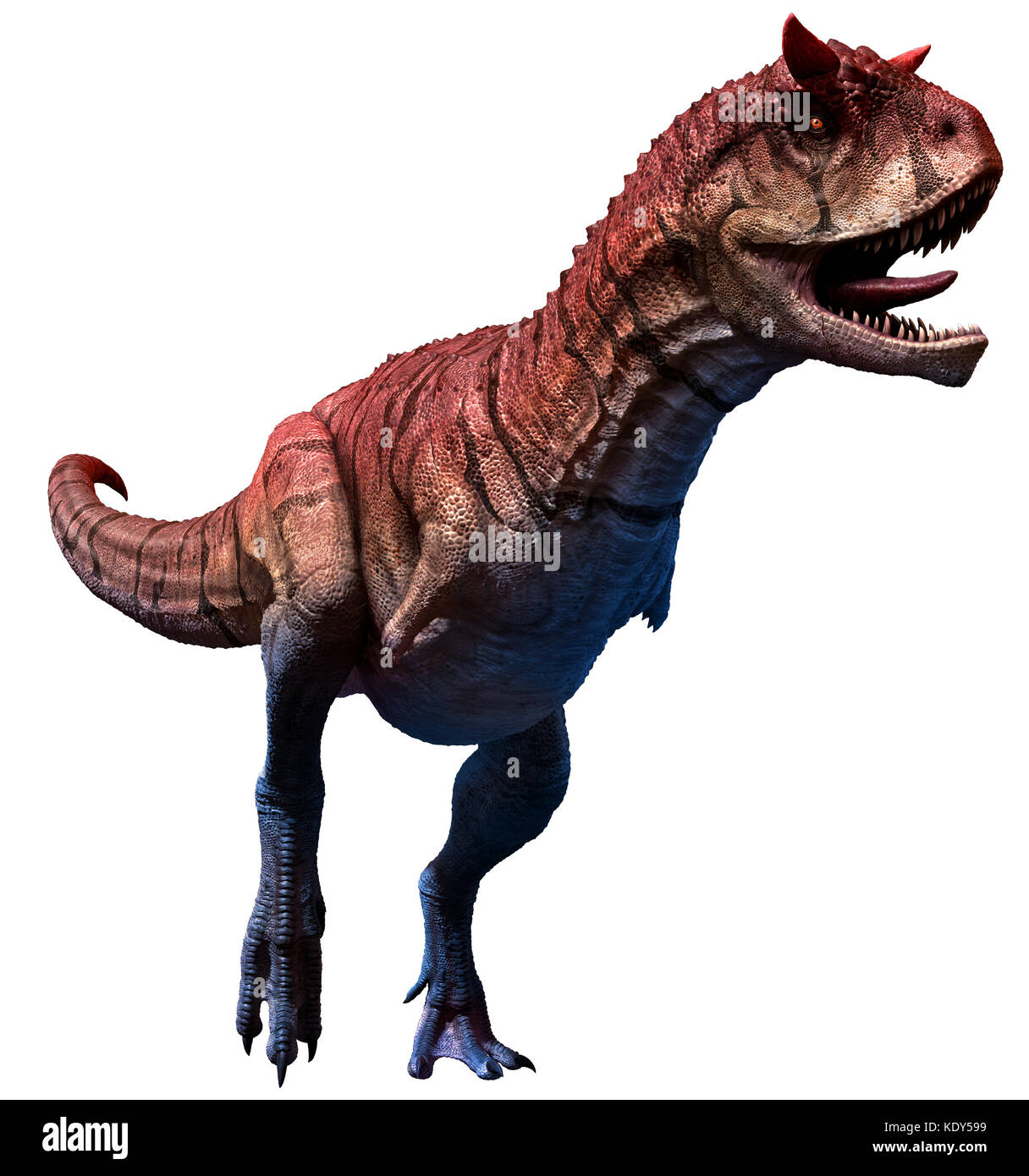 Carnotaurus sastrei Banque D'Images