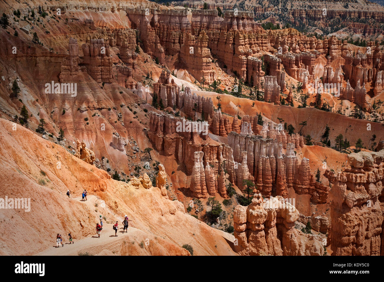 Bryce Canyon National Park, États-Unis Banque D'Images