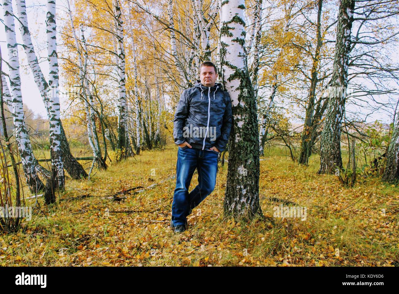Temps d'automne : un homme en jeans bleu posant dans le contexte d'une forêt de bouleaux en automne. Banque D'Images