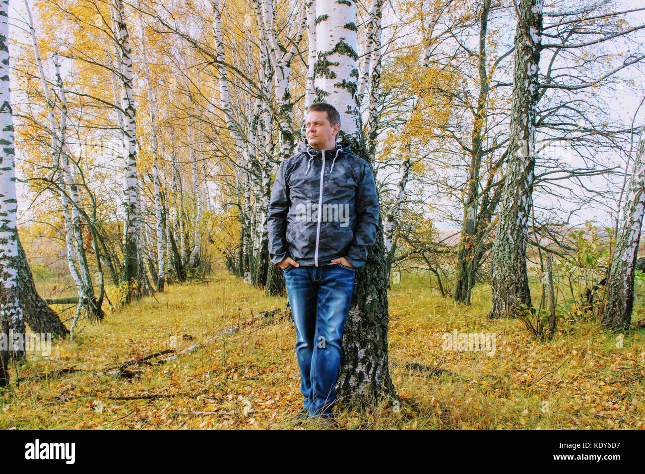 Temps d'automne : un homme en jeans bleu posant dans le contexte d'une forêt de bouleaux en automne. Banque D'Images