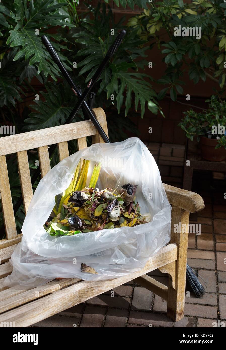 Un sac de coupures des plantes dans une serre. Banque D'Images