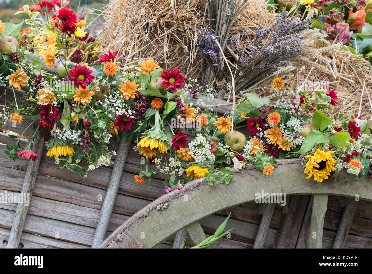 Foin à chevaux d'automne panier harvest festival affichage à Weald et Downland Open Air Museum, campagne automne show, Singleton, Sussex, Angleterre Banque D'Images