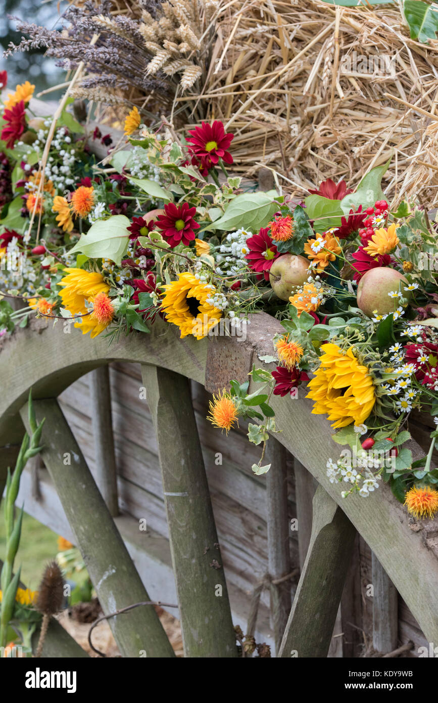Foin à chevaux d'automne panier harvest festival affichage à Weald et Downland Open Air Museum, campagne automne show, Singleton, Sussex, Angleterre Banque D'Images