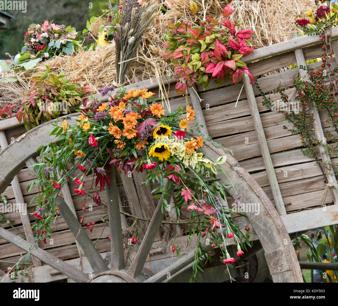 Foin à chevaux d'automne panier harvest festival affichage à Weald et Downland Open Air Museum, campagne automne show, Singleton, Sussex, Angleterre Banque D'Images