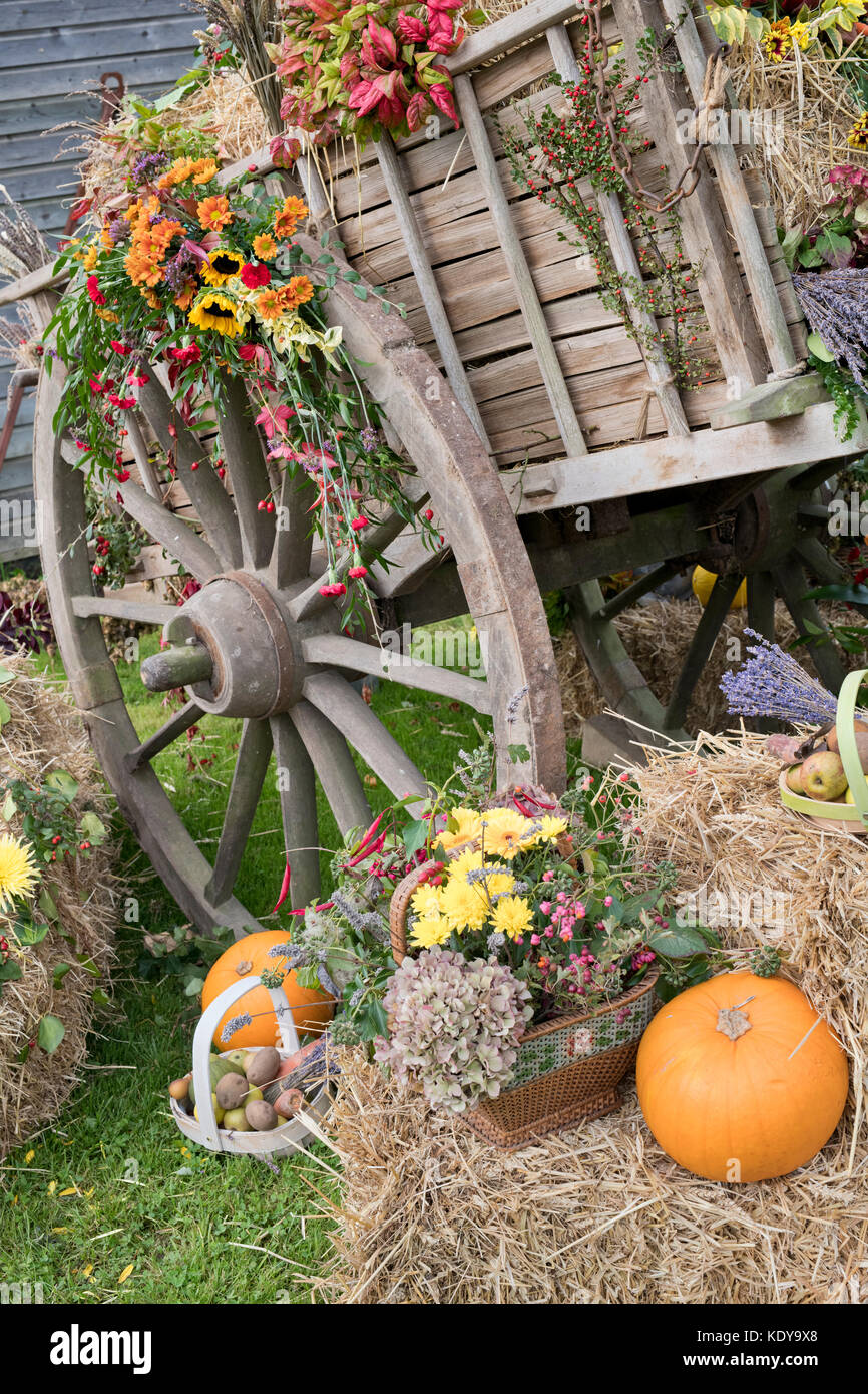 Foin à chevaux d'automne panier harvest festival affichage à Weald et Downland Open Air Museum, campagne automne show, Singleton, Sussex, Angleterre Banque D'Images