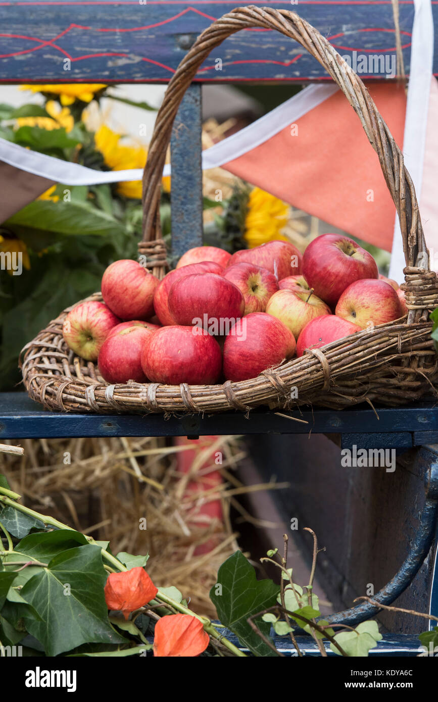Rustique d'automne festival de la récolte des pommes rouges affichage à Weald et Downland Open Air Museum, automne show, Singleton, Sussex, Angleterre Banque D'Images