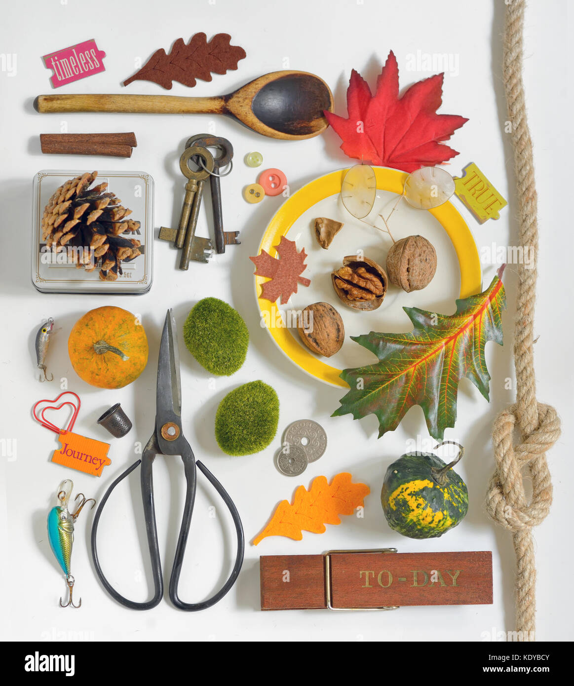 Collection automne immersive des objets sur fond blanc Banque D'Images