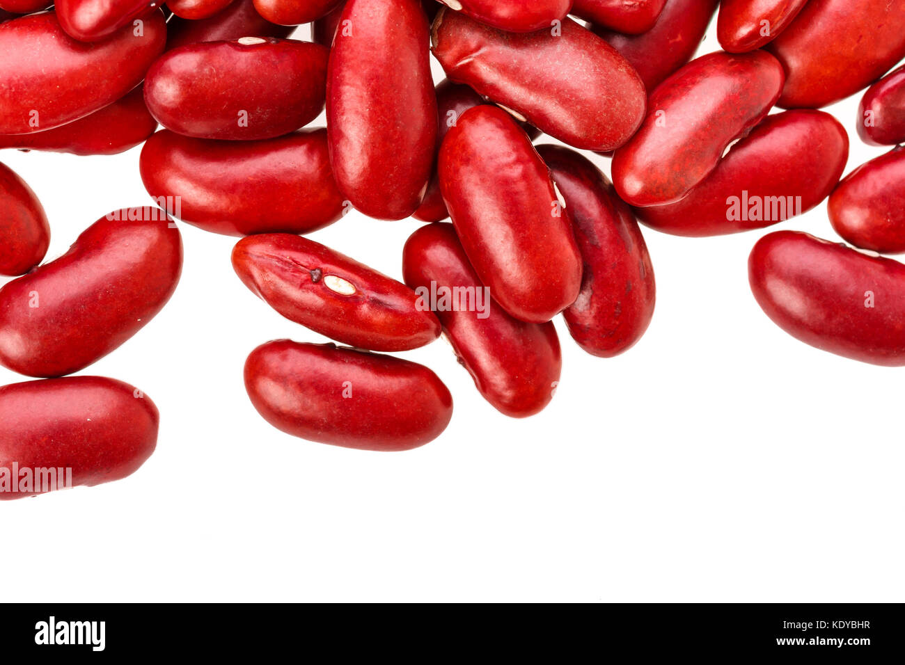 Libre de haricots rouges Banque D'Images