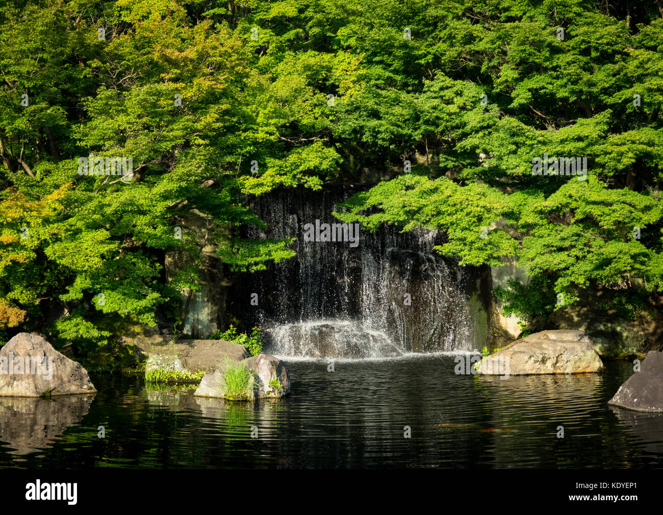 Koko-en des jardins autour du château de Himeji, Himeji, préfecture de Hyogo, région du Kansai, l'île de Honshu, Japon Banque D'Images