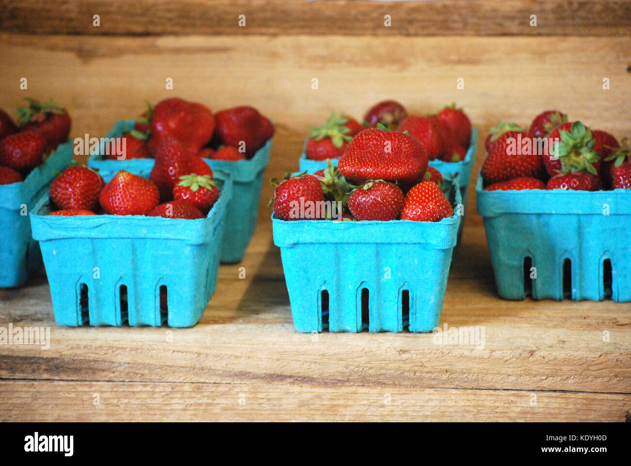 Paniers de fraises cueillies fraîches Banque D'Images