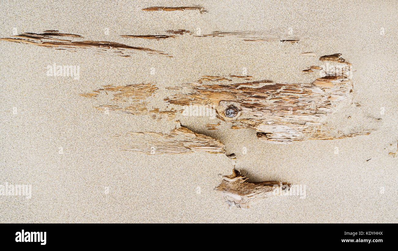 Marsouin driftwood sur Ocean Dunes, Nehalem bay, Nehalem Bay State Park, oregon. entre l'océan pacifique et nehalem bay, à north à manzanita Banque D'Images