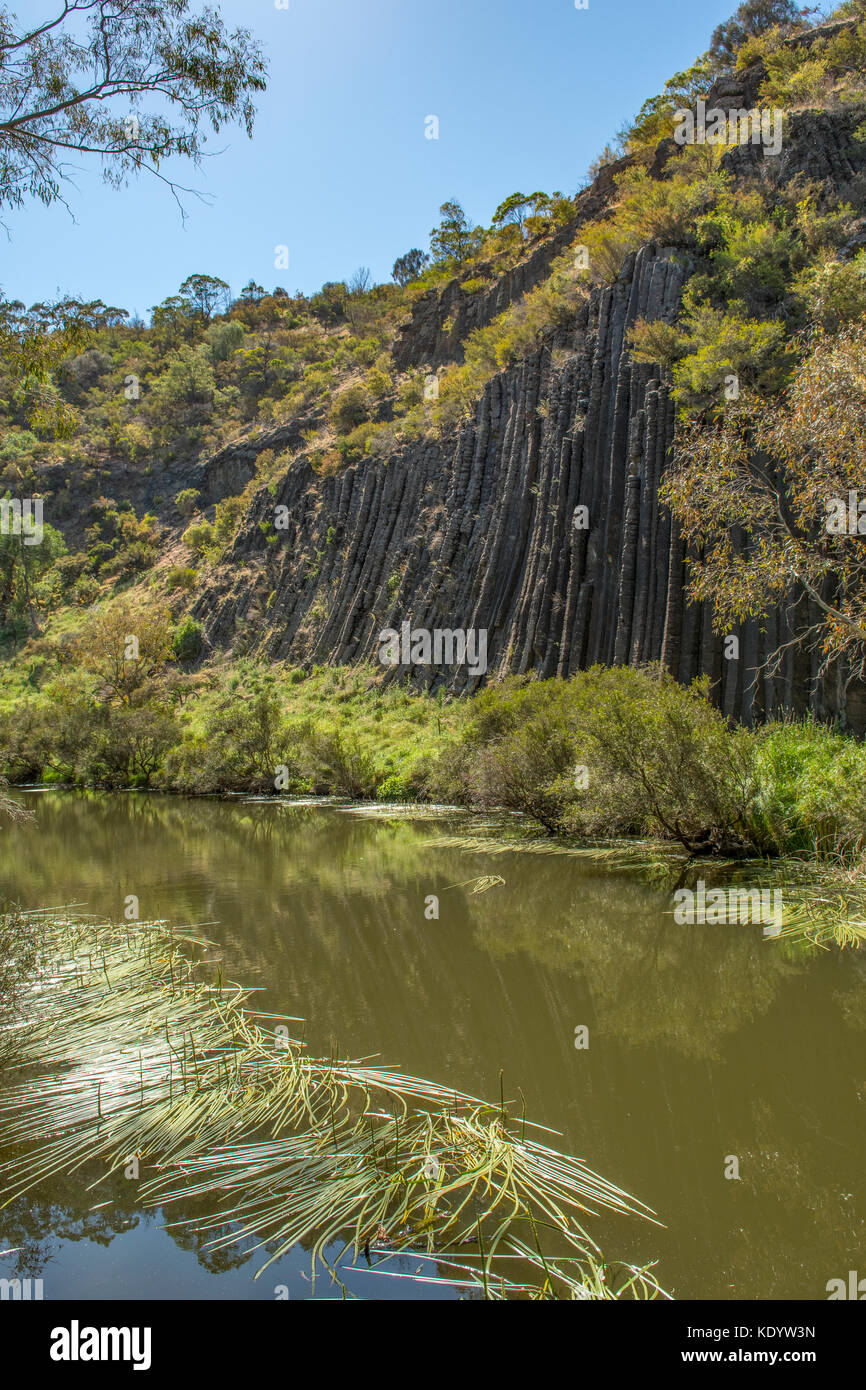 Tuyaux d'orgue, tuyaux d'orgue, le Parc National de Keilor, Victoria, Australie Banque D'Images