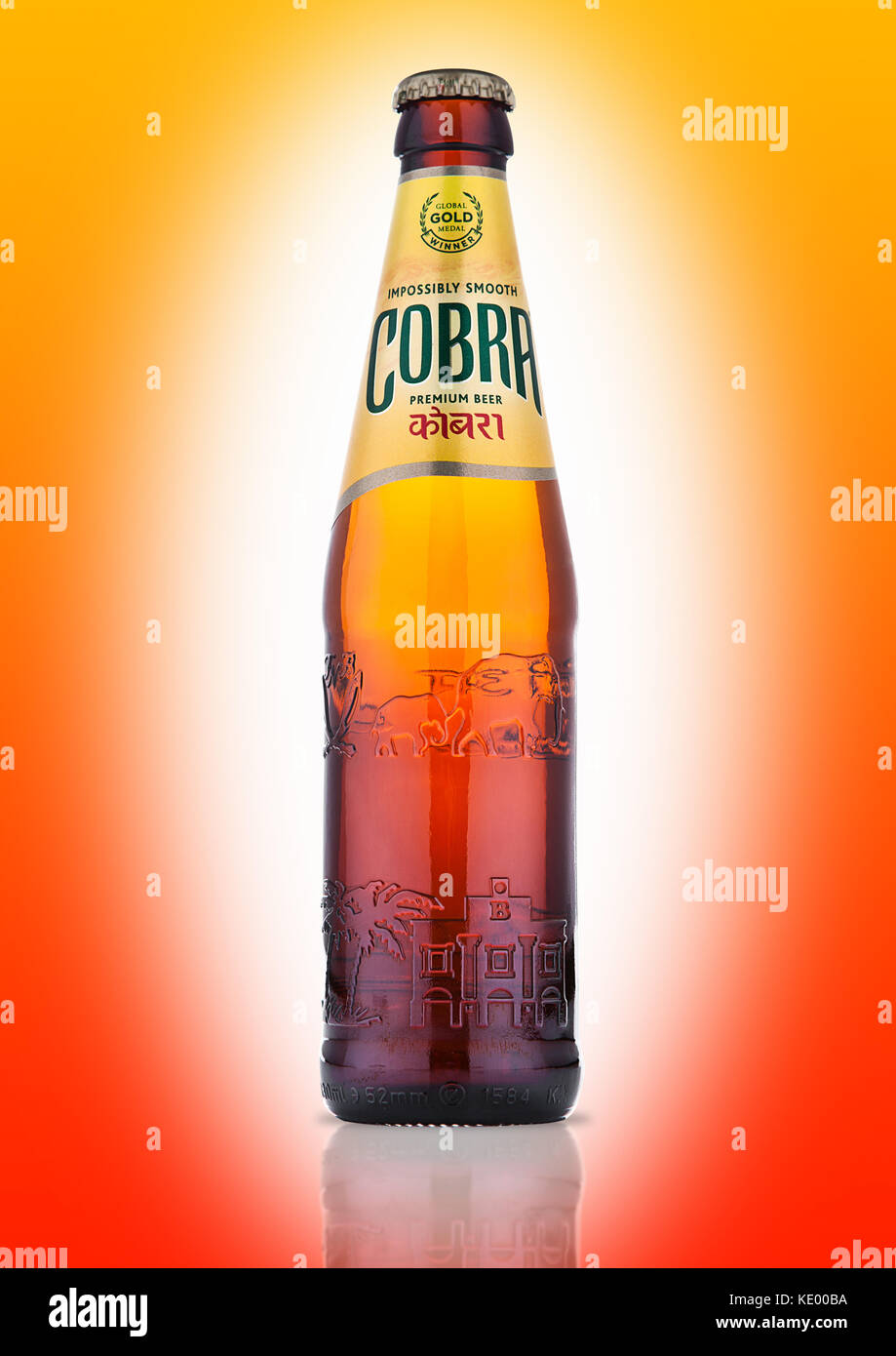 Londres, Royaume-Uni - Octobre 06, 2016 : la bière premium cobra sur un fond orange, cobra 5.0 % bière est brassée à une authentique recette indienne à l'aide de la fi Banque D'Images