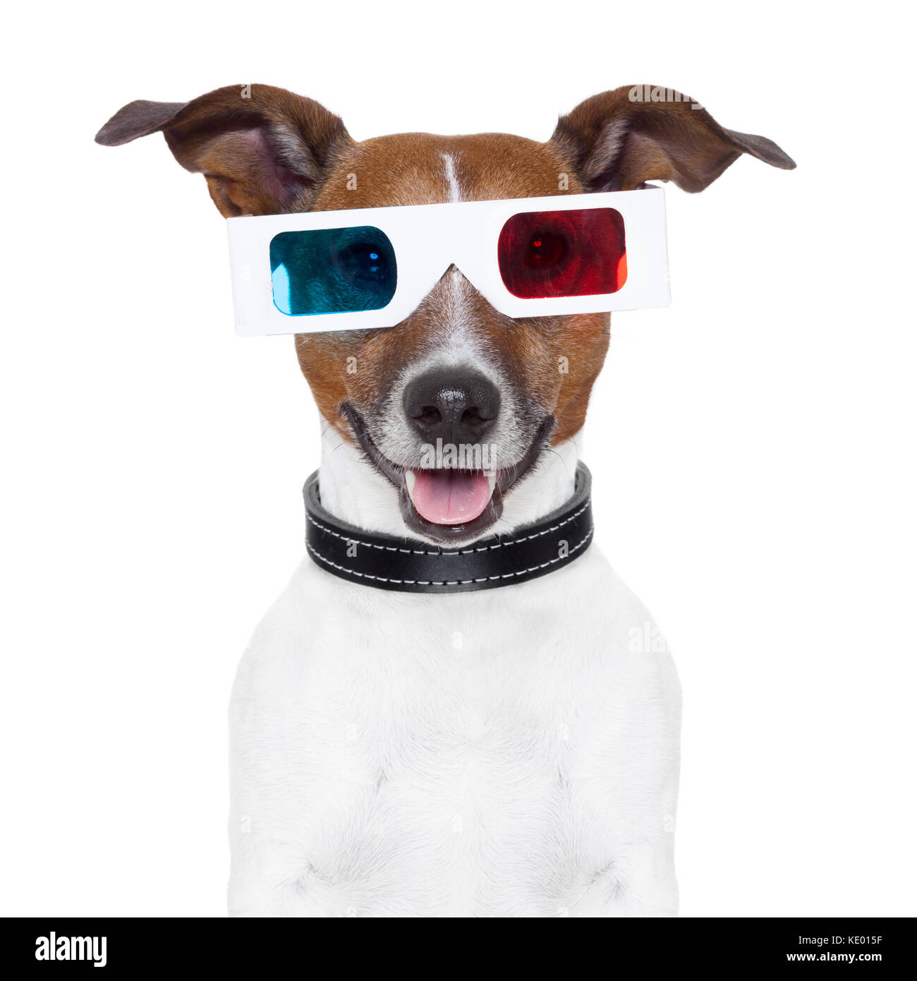 Les lunettes 3D cinema dog Banque D'Images