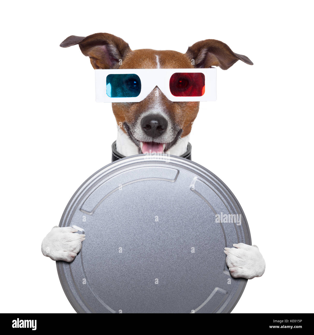 Film 3d film canister lunettes chien Banque D'Images