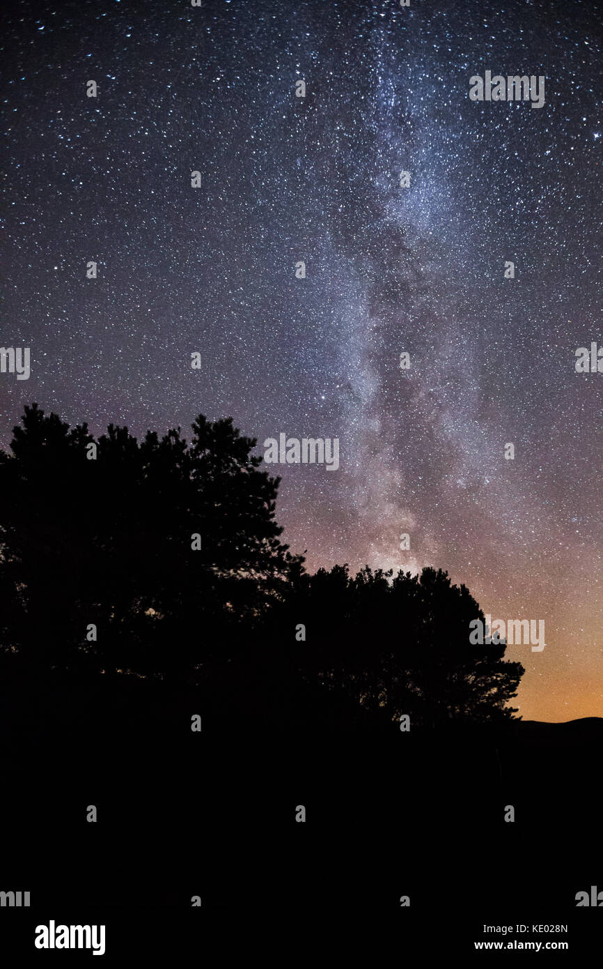 Voie lactée et les étoiles photo de nuit avec la silhouette des arbres. Prise à Cregennan Lacs, Pays de Galles, Royaume-Uni Banque D'Images
