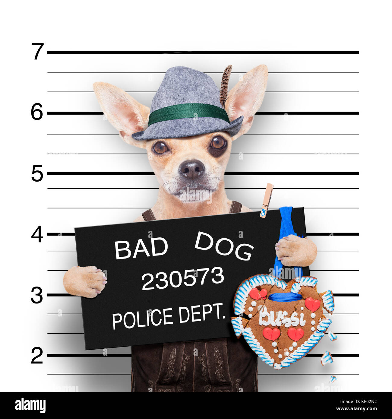 Chihuahua dog allemand bavarois au pain d'épices et électroniques de chapeau, au poste de police Banque D'Images