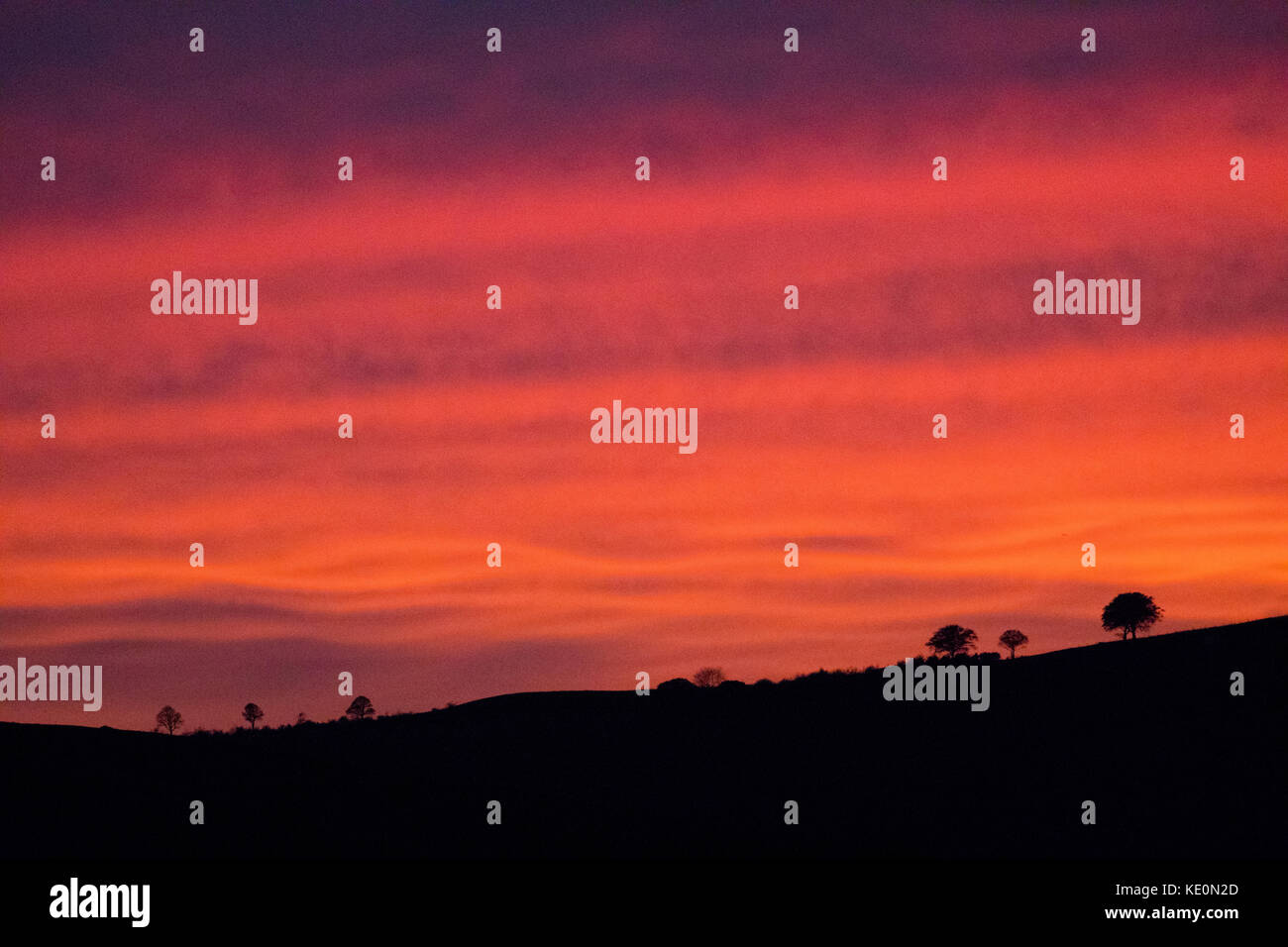 Flintshire, nord, Royaume-Uni. uk. météo avec des vents maintenant tous mais passé de storm ophélie dans flintshire le comté est récompensé par un magnifique coucher de soleil pour terminer la journée et la tempête. la profonde coucher de soleil sur la plage de clwydian comme une ligne d'arbres freins les plages vue horizon du village d'lixwm Banque D'Images