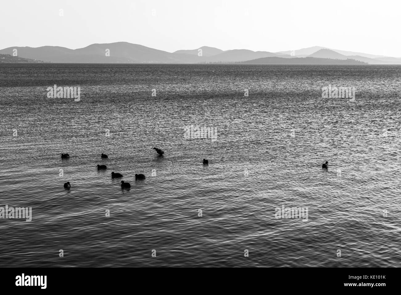 Un lac au coucher du soleil, avec quelques canards sur l'eau et les collines au loin et des tons doux à la distance Banque D'Images