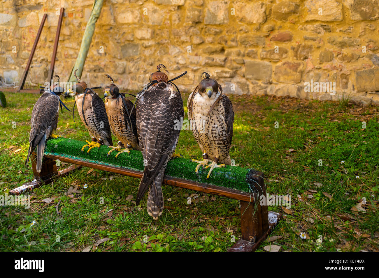 L'Europe,Italie,Toscane,Val di Chiana,castel,voyages,tripcruise,tourisme,vacances,vacance,italien,alimentaire ville typique Banque D'Images